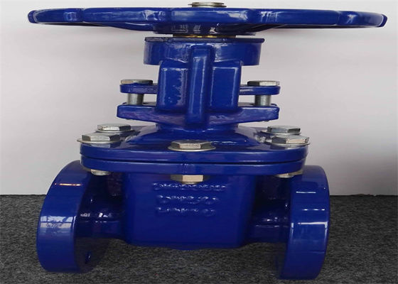 Rising Stem Dn300 Brass Gate Valve Flange Type Blue Color