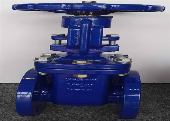Din F5 Dn65 Flanged Gate Valve Brass Seal Iron Disc Cast Iron