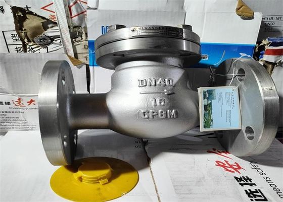 Corrosive Medium Flanged Swing Check Valve Stainless Steel Body