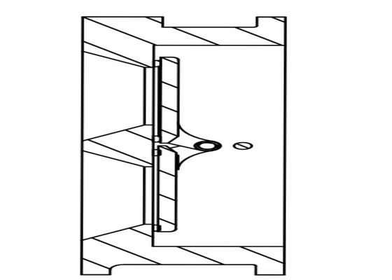 Wafer Butterfly Flanged Swing Check Valve Cast Iron 1.0/1.6 Mpa