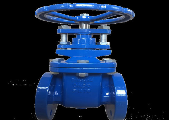 Din F4 6 Inch Flanged Gate Valve Non Rising Stem Brass Seal Iron Disc Cast Iron Dn250